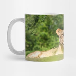 Lioness Mug